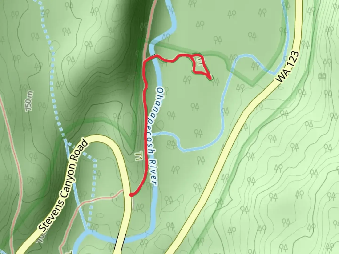 An image depicting the trail Grove of the Patriarchs and its surrounding area.