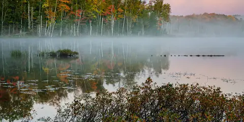 An image depicting the trail Pine Marten Run Trail and its surrounding area.