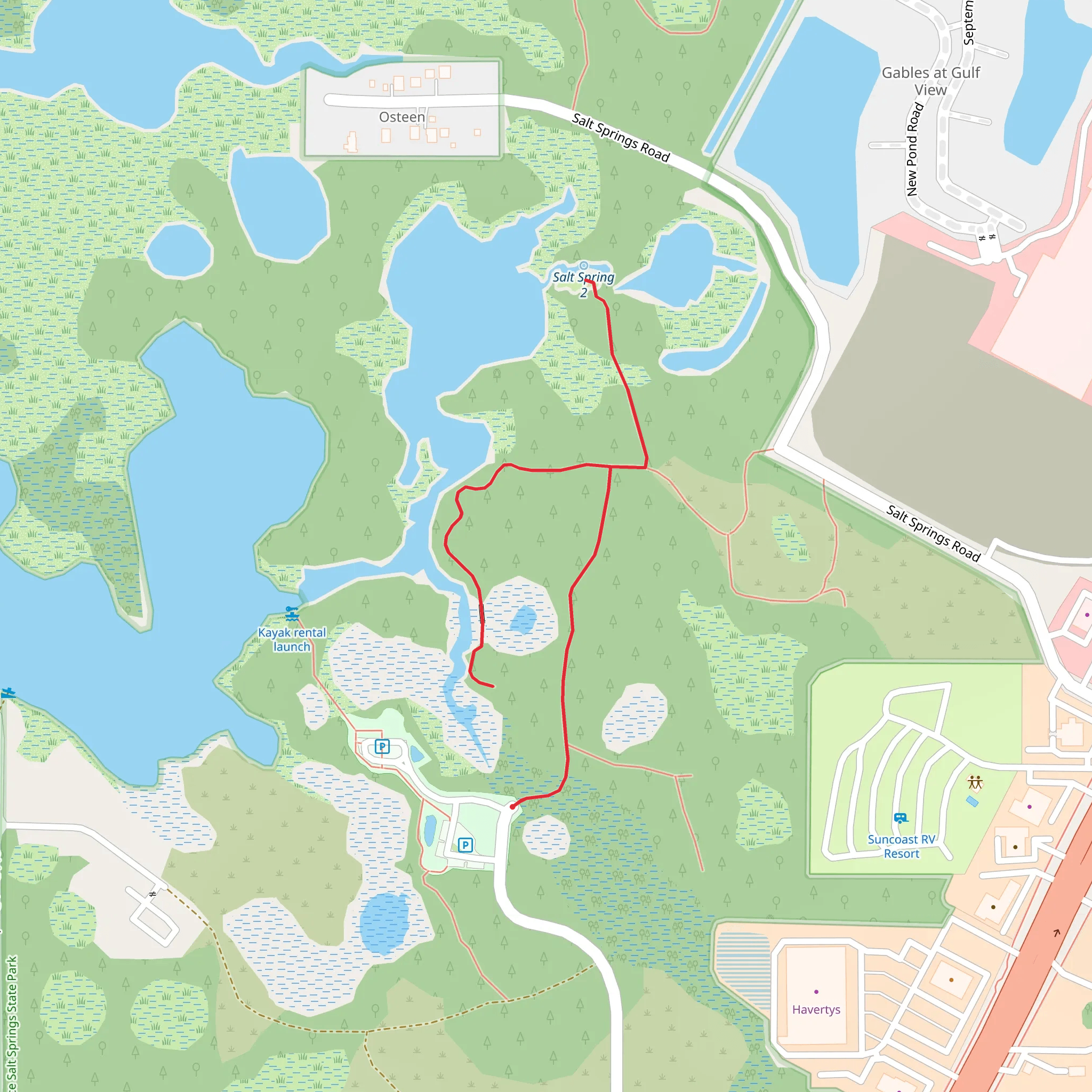 Salt Springs mobile static map