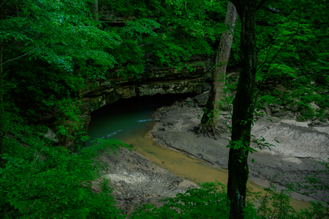 An image depicting the trail Whites Cave Trail and its surrounding area.