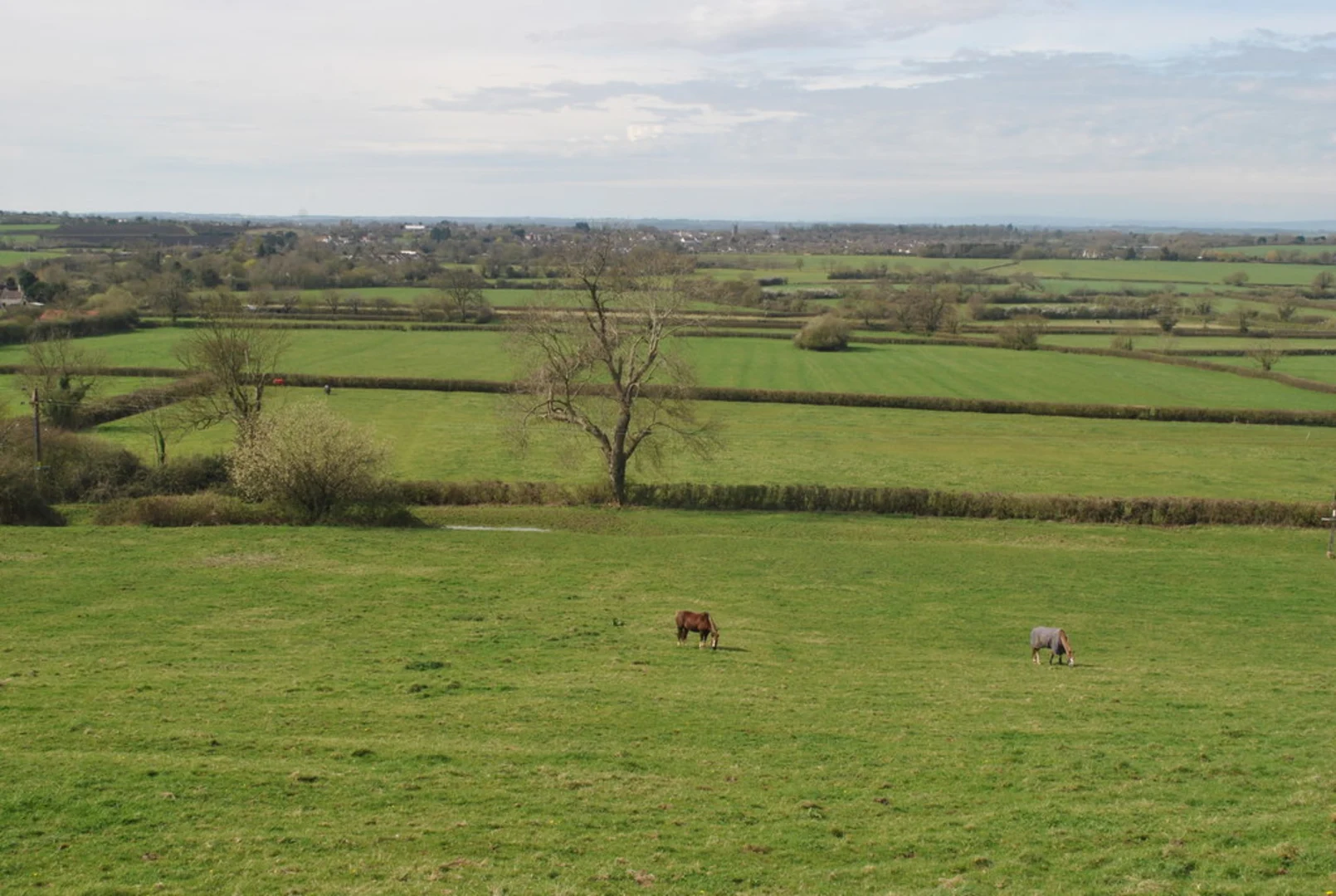 An image depicting the trail Old Sodbury - the Hill Fort and Church and its surrounding area.