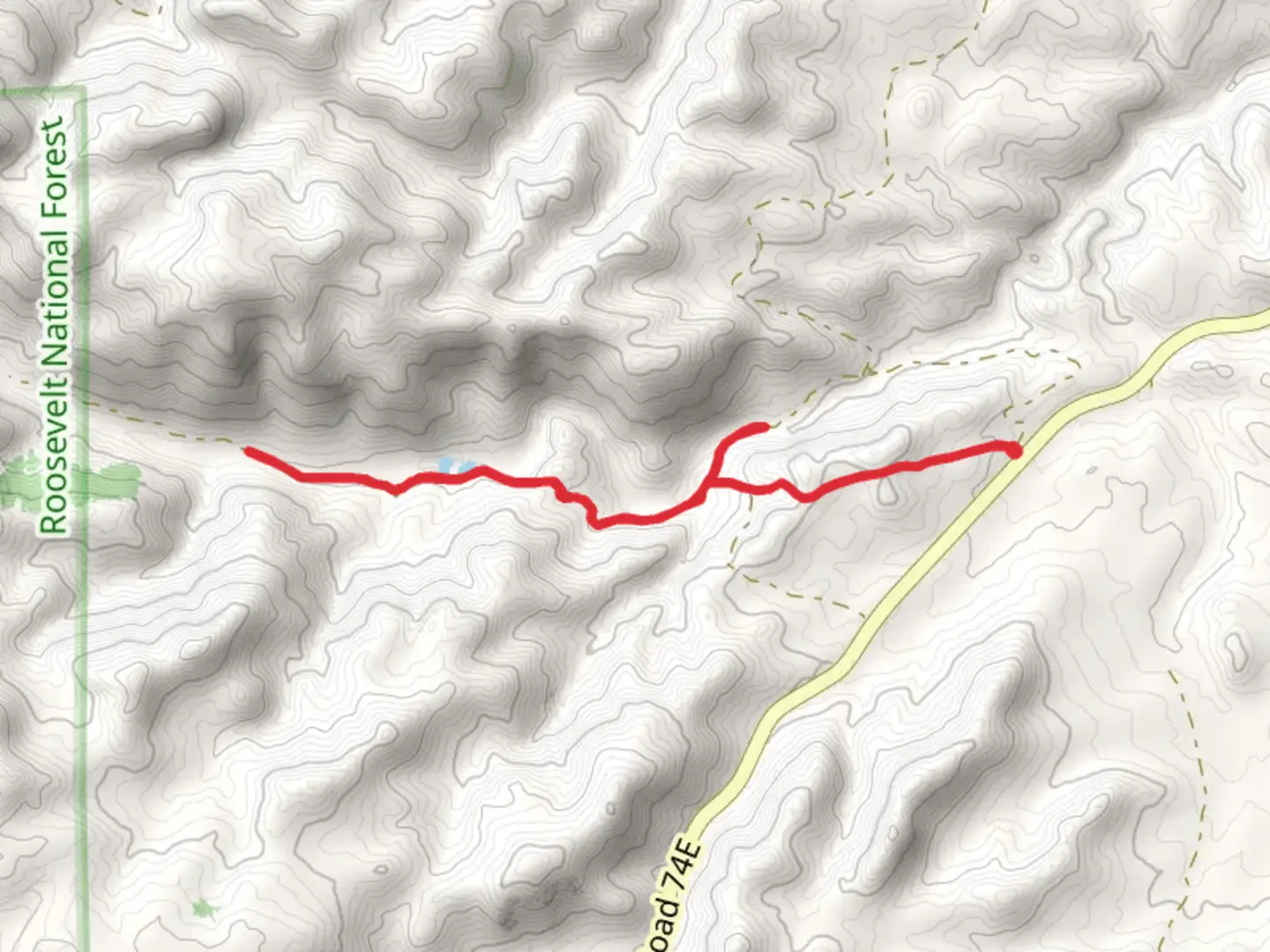 An image depicting the trail Lone Pine Creek Walk and its surrounding area.