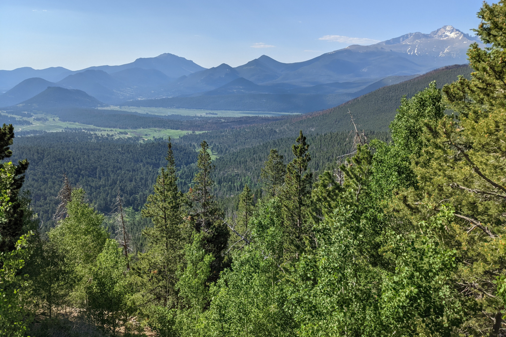 An image depicting the trail Beaver Meadows Trail and its surrounding area.