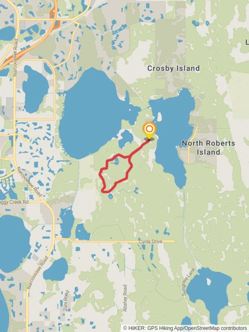 An image depicting the trail Center and North-South Loop Trail - Bonnet Pond and its surrounding area.