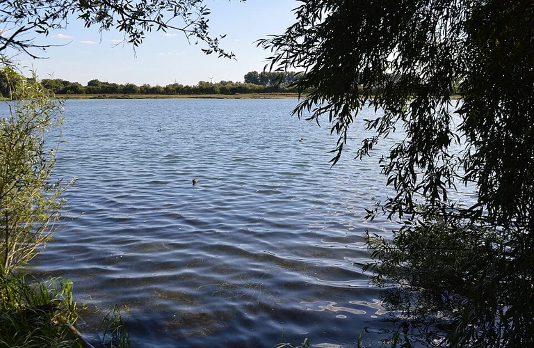 Riverside Park, River Great Ouse and Roman Lake Loop