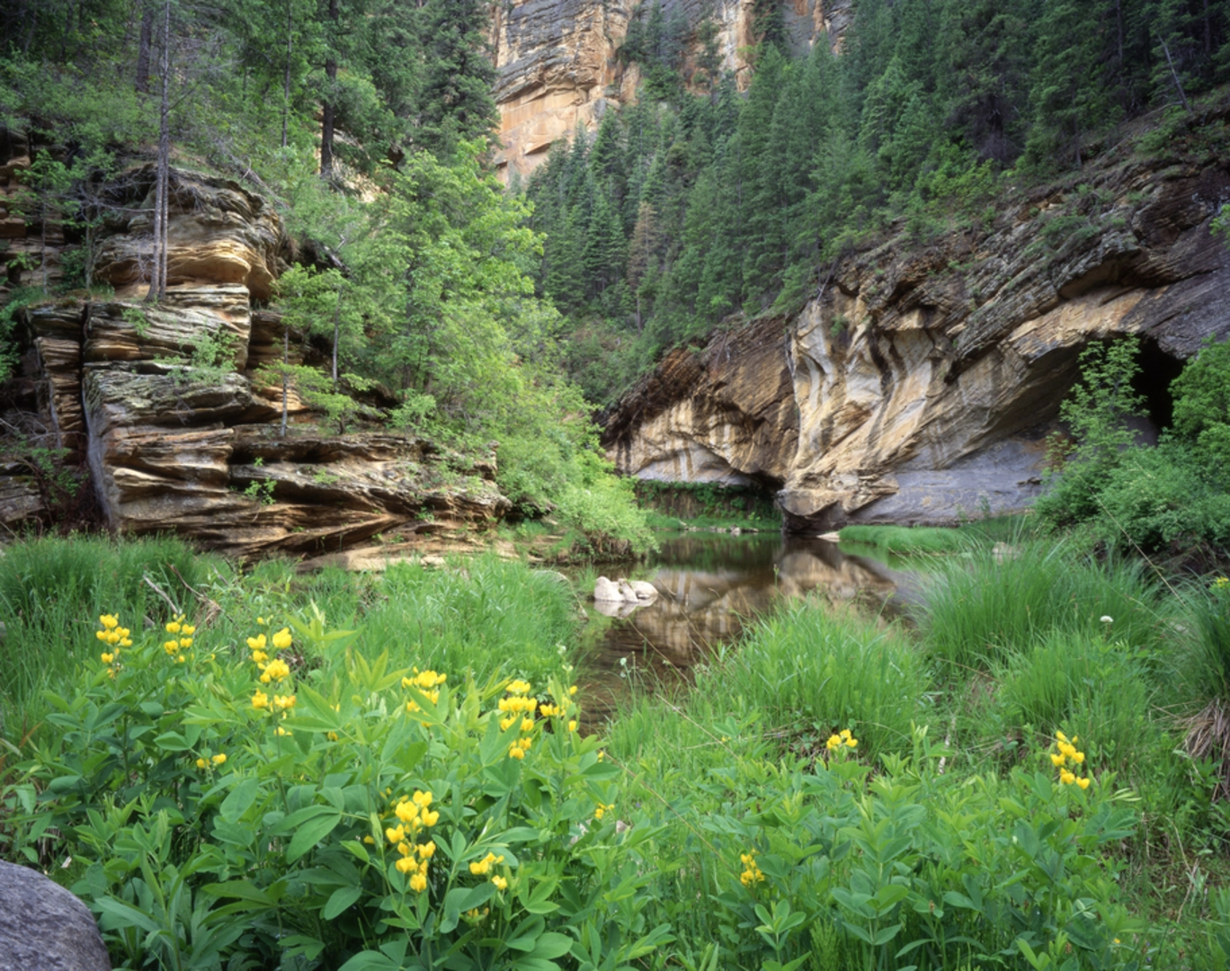 An image depicting the trail Cash Trail and its surrounding area.