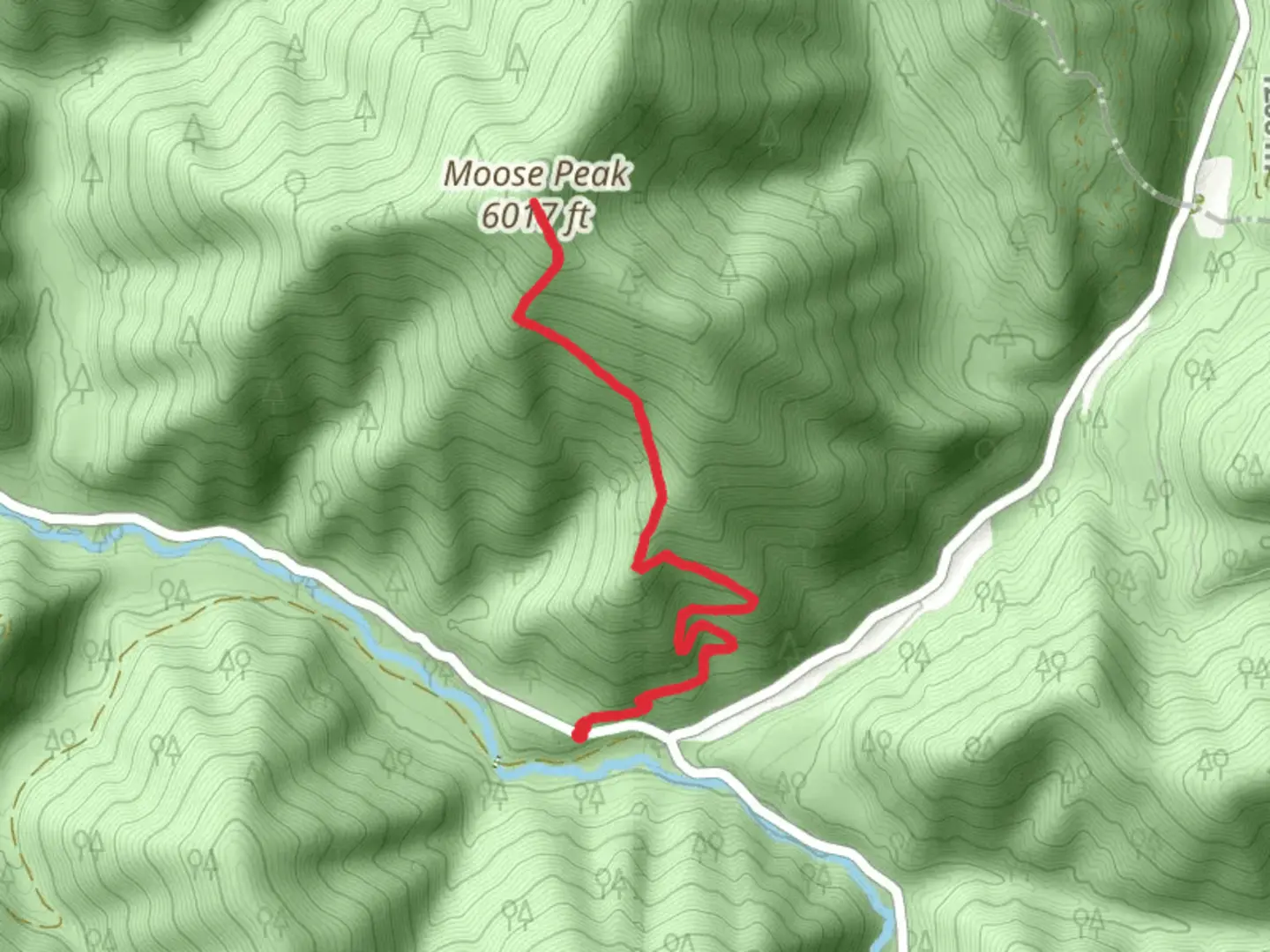 An image depicting the trail Moose Peak Trail and its surrounding area.