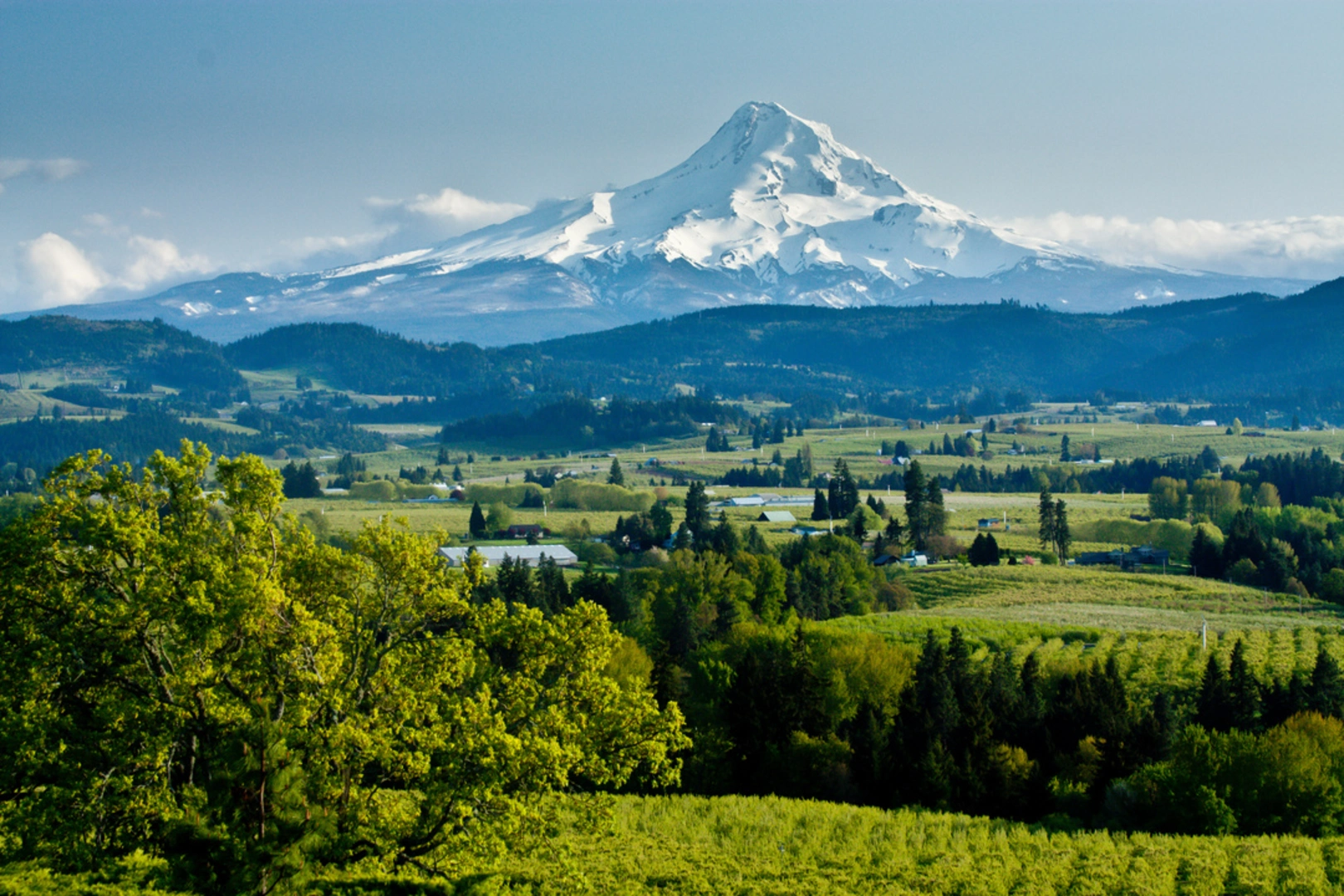 An image depicting the trail French’s Dome Loop Trail and its surrounding area.