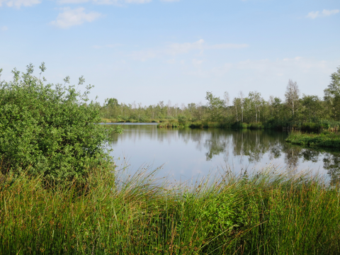 Ter Horsterzand, Witten veen and Groote Veen Loop