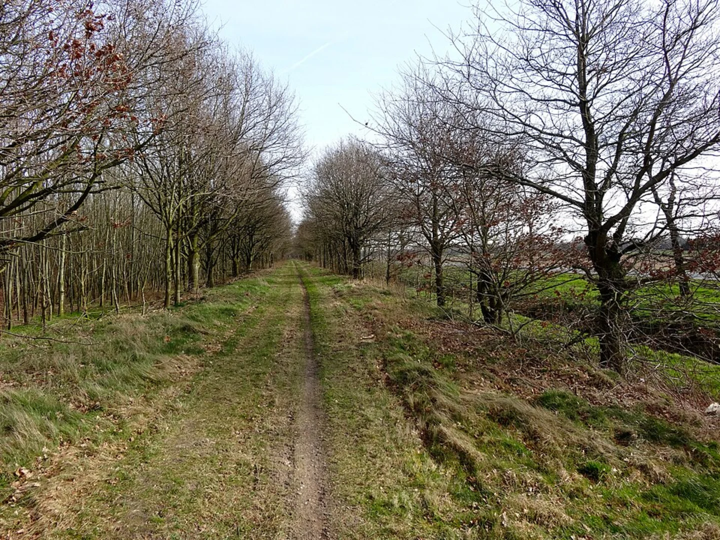 An image depicting the trail Vledderbos and Broeklanden Loop and its surrounding area.