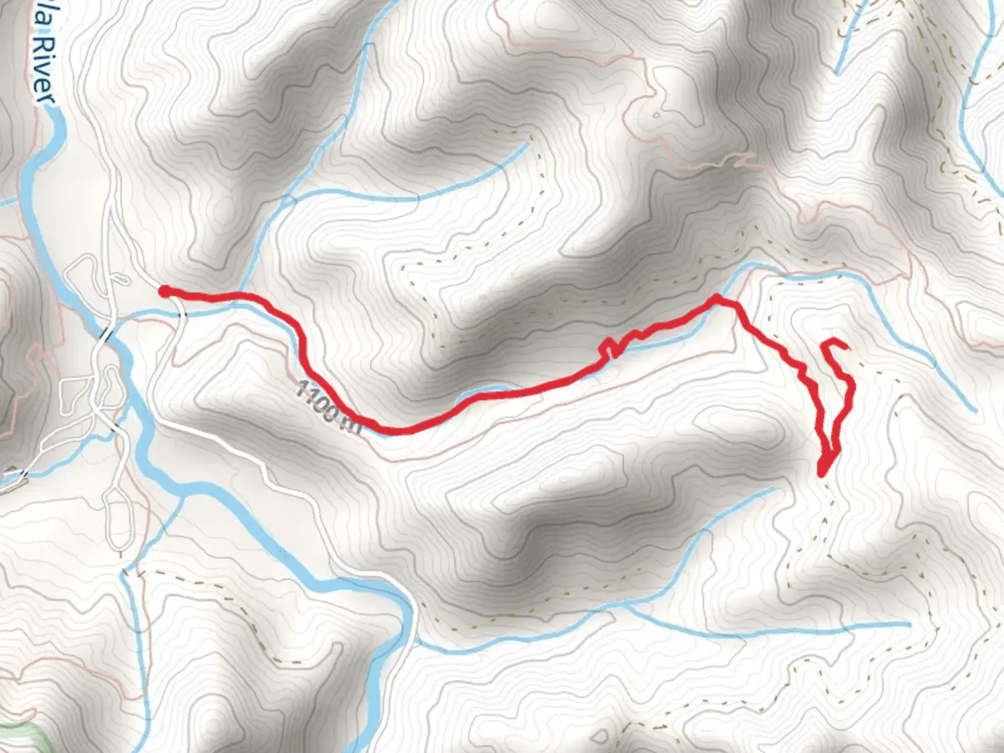 An image depicting the trail Long Branch and its surrounding area.
