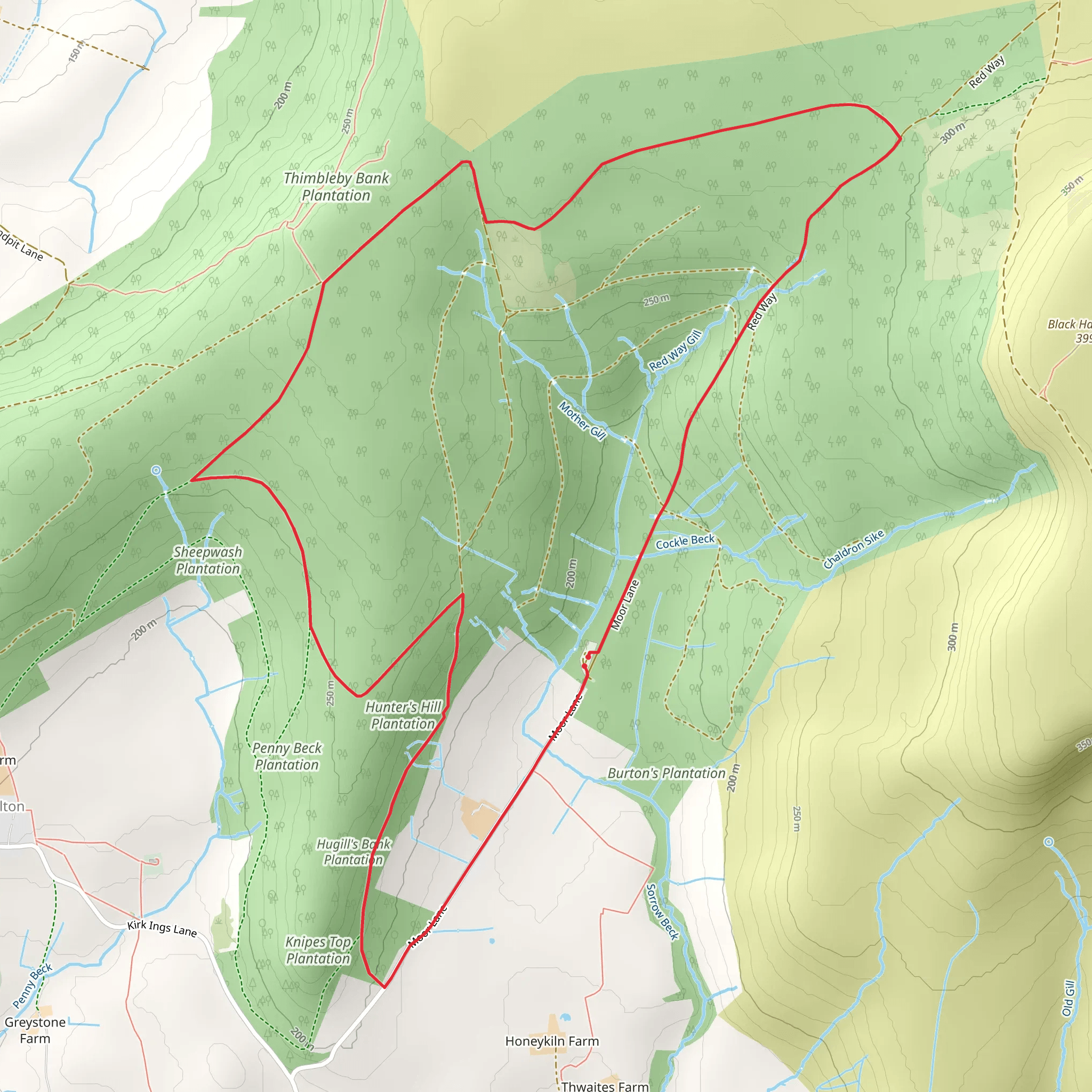 Silton Forest Loop mobile static map