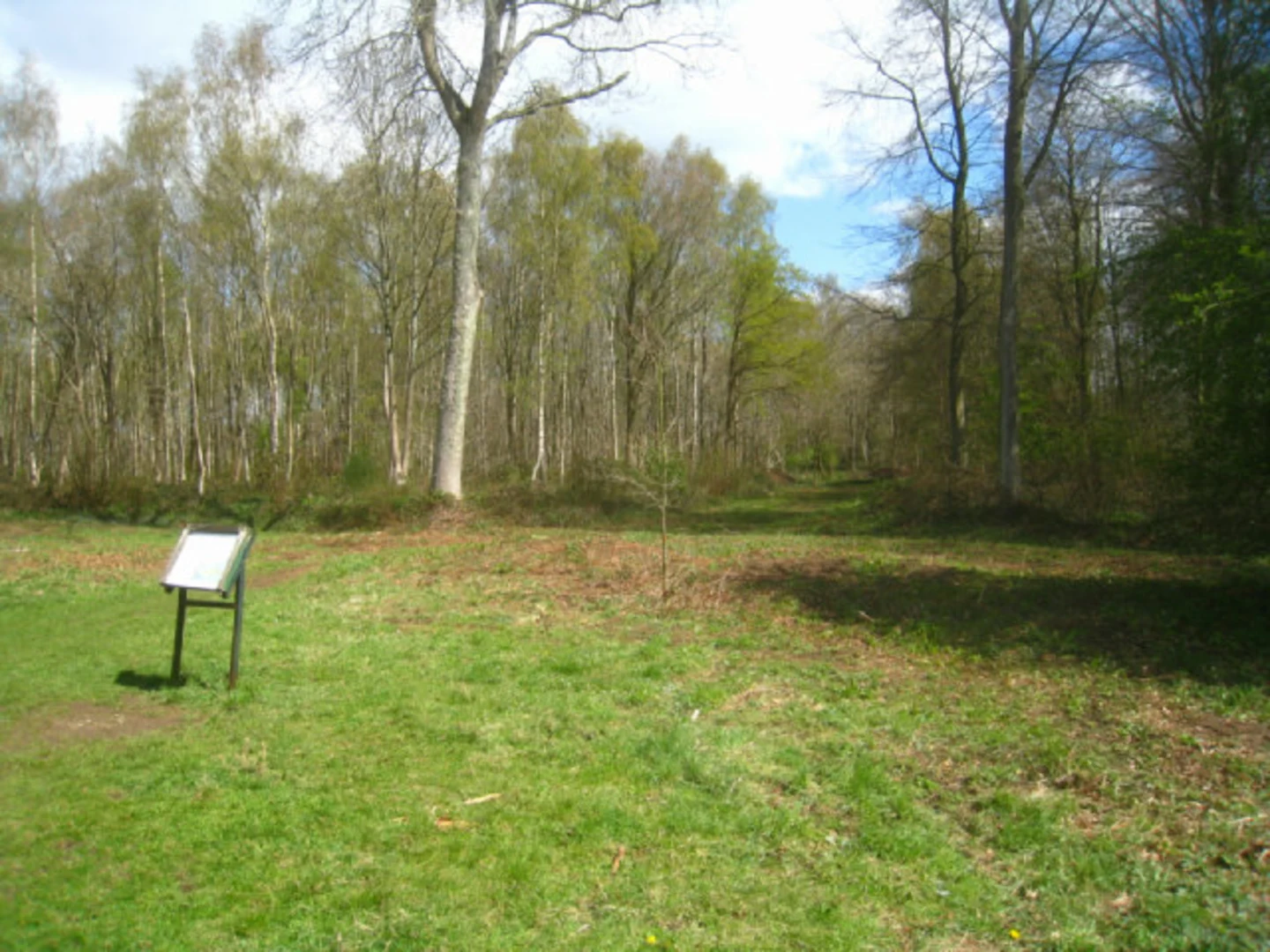 An image depicting the trail Long Walk Loop - Micheldever Wood and its surrounding area.