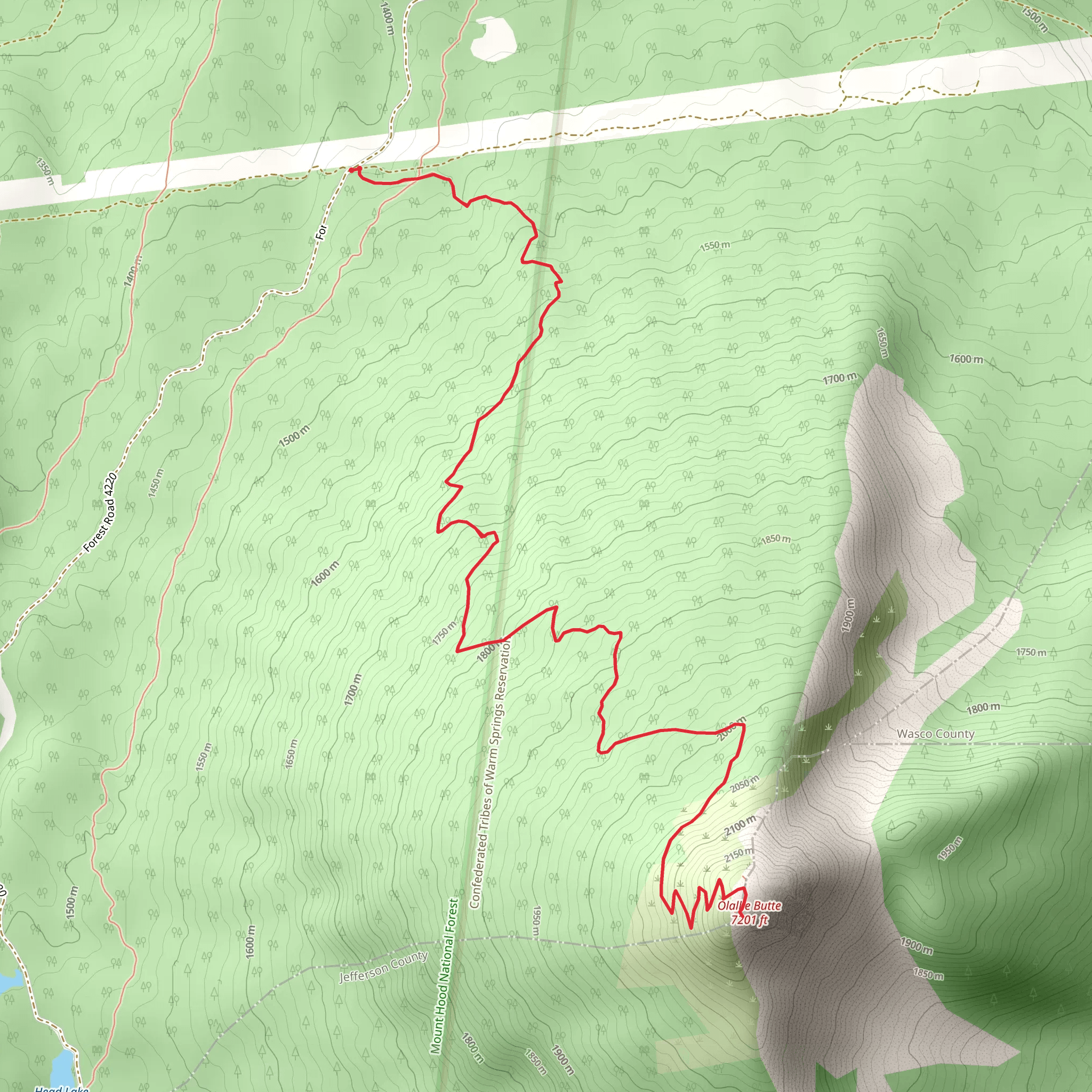 Olallie Butte Trail mobile static map