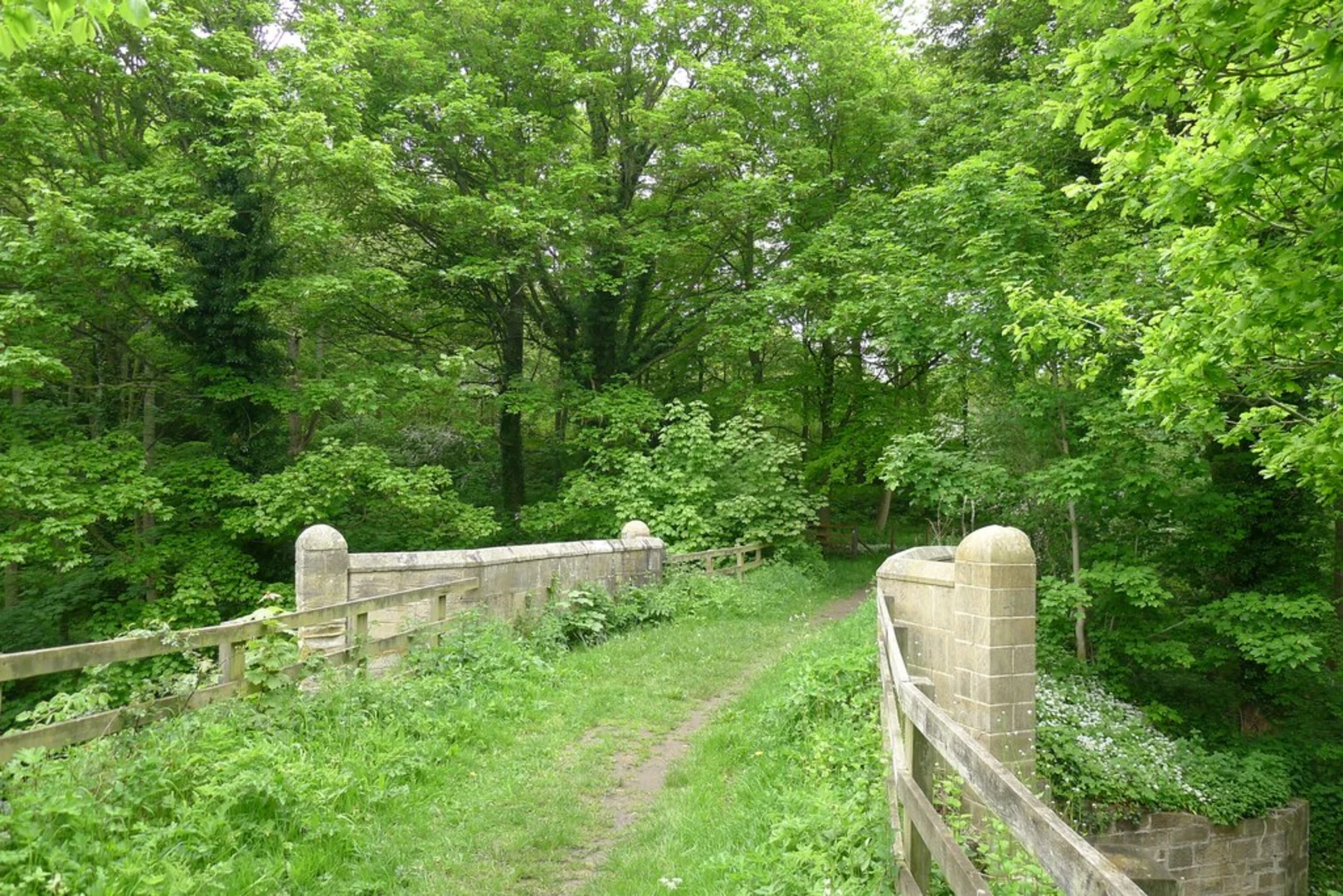 An image depicting the trail Chester-le-Street Loop and its surrounding area.