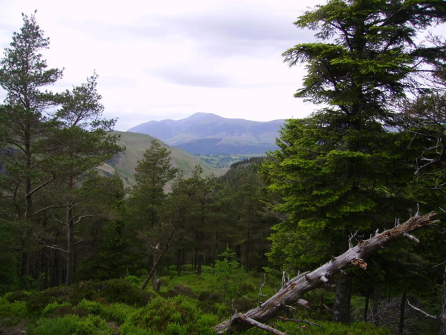 An image depicting the trail Red Screes Tarn, High Pike and Low Pike Loop - Ambleside and its surrounding area.
