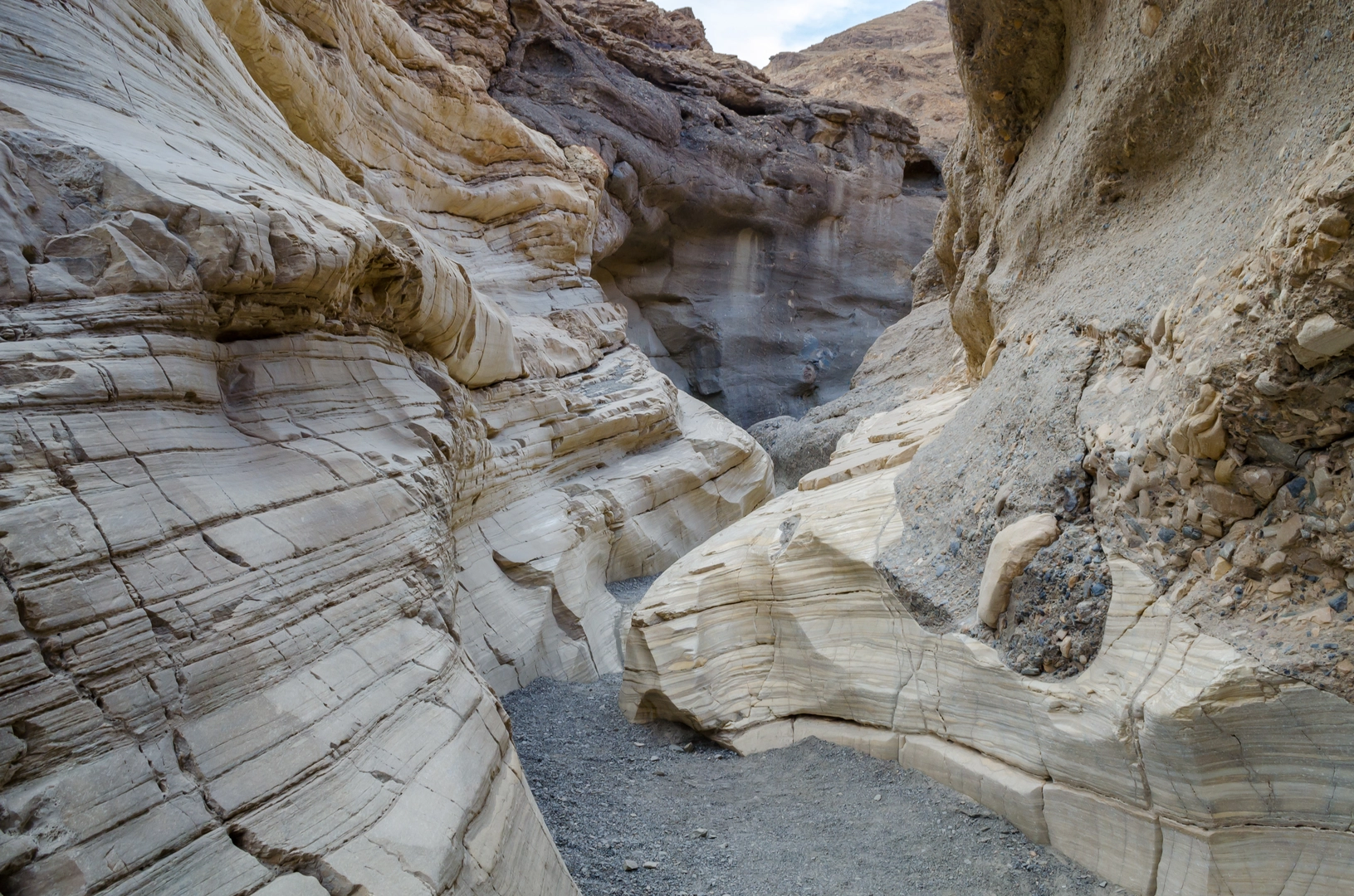 An image depicting the trail Cottonwood Marble Canyon Loop and its surrounding area.