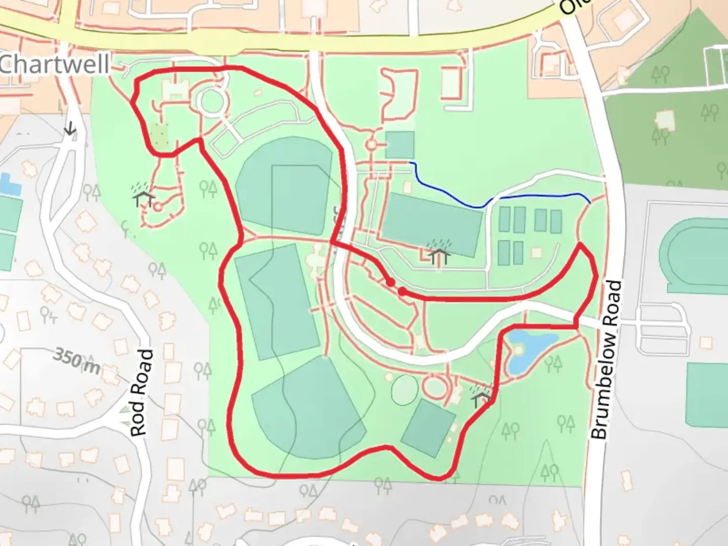 An image depicting the trail Newtown Park Loop and its surrounding area.