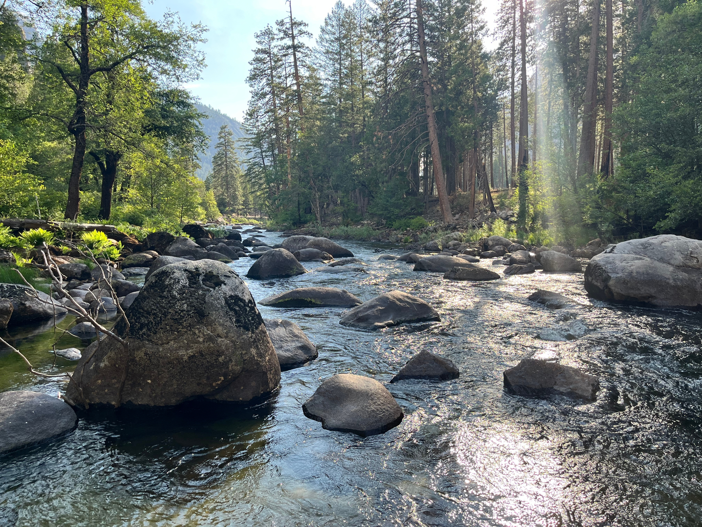 An image depicting the trail Upper Yosemite Fall from Old Tioga Road and its surrounding area.