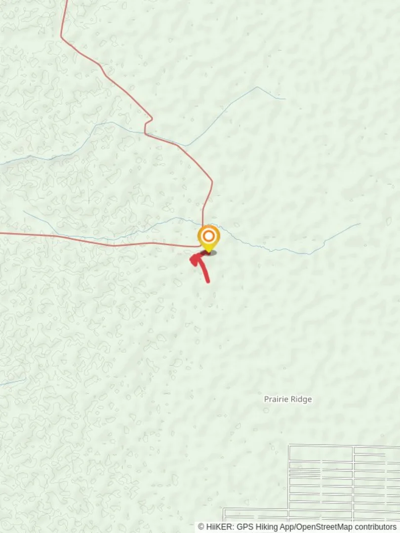 An image depicting the trail Hammock Trail Loop and its surrounding area.