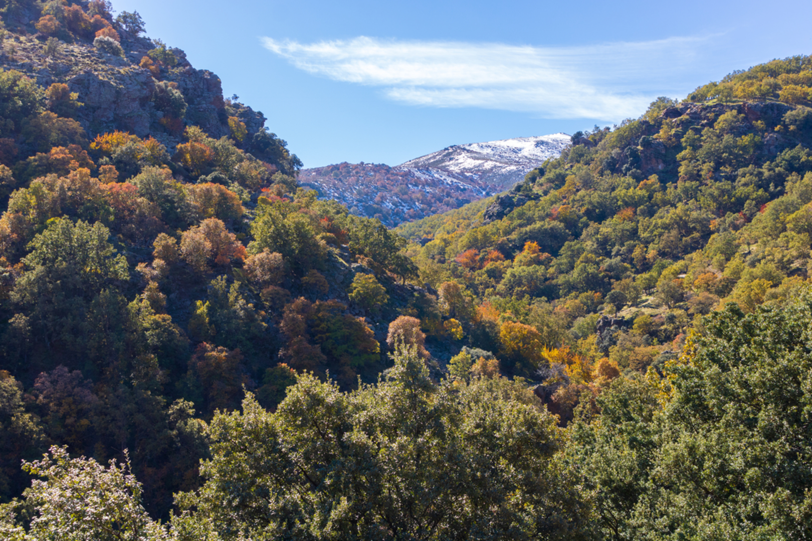 An image depicting the trail PR A 33 Río Alhama and its surrounding area.