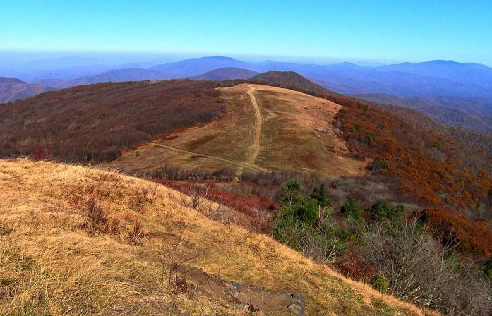 An image depicting the trail Big Bald Trail and its surrounding area.