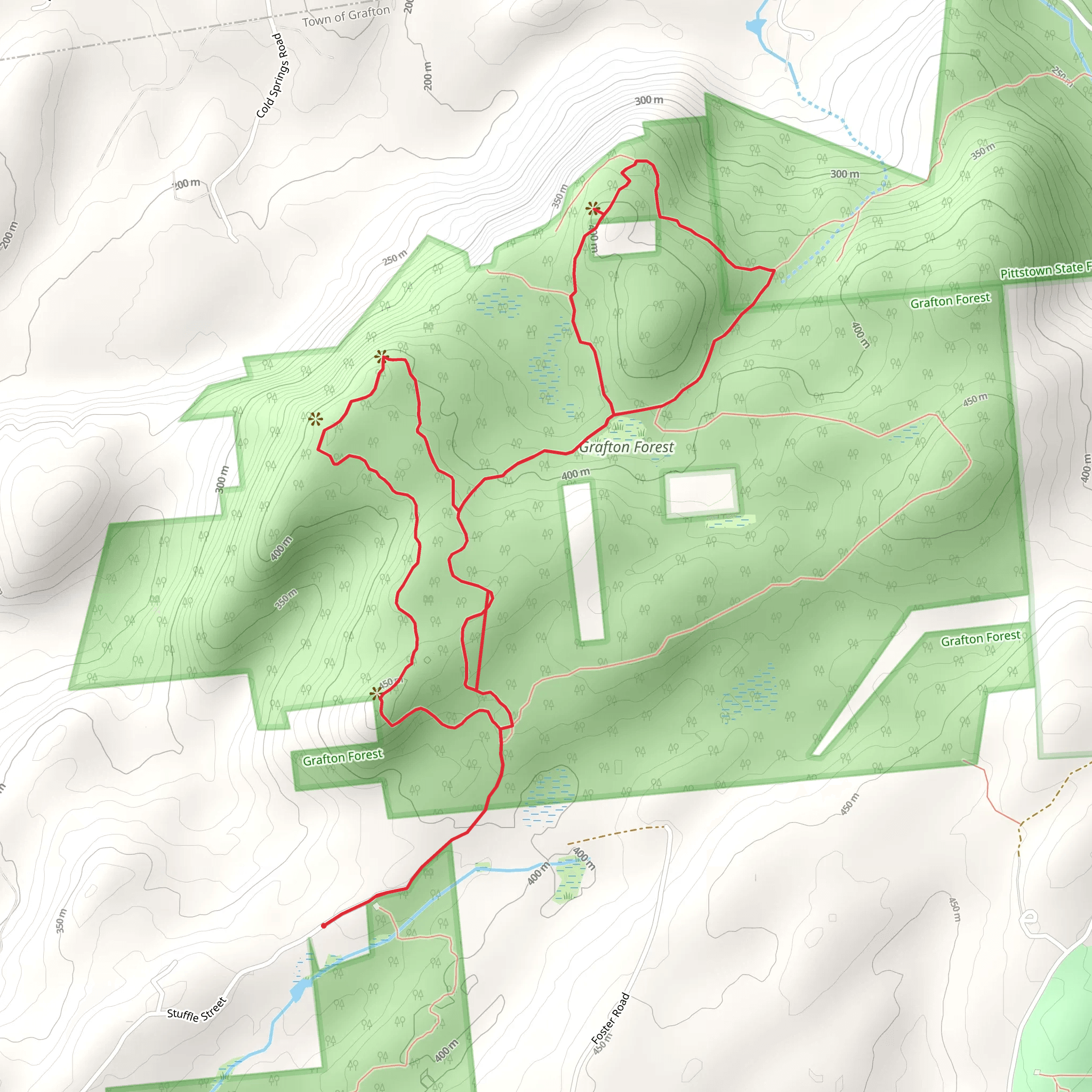 Grafton Forest Loop mobile static map
