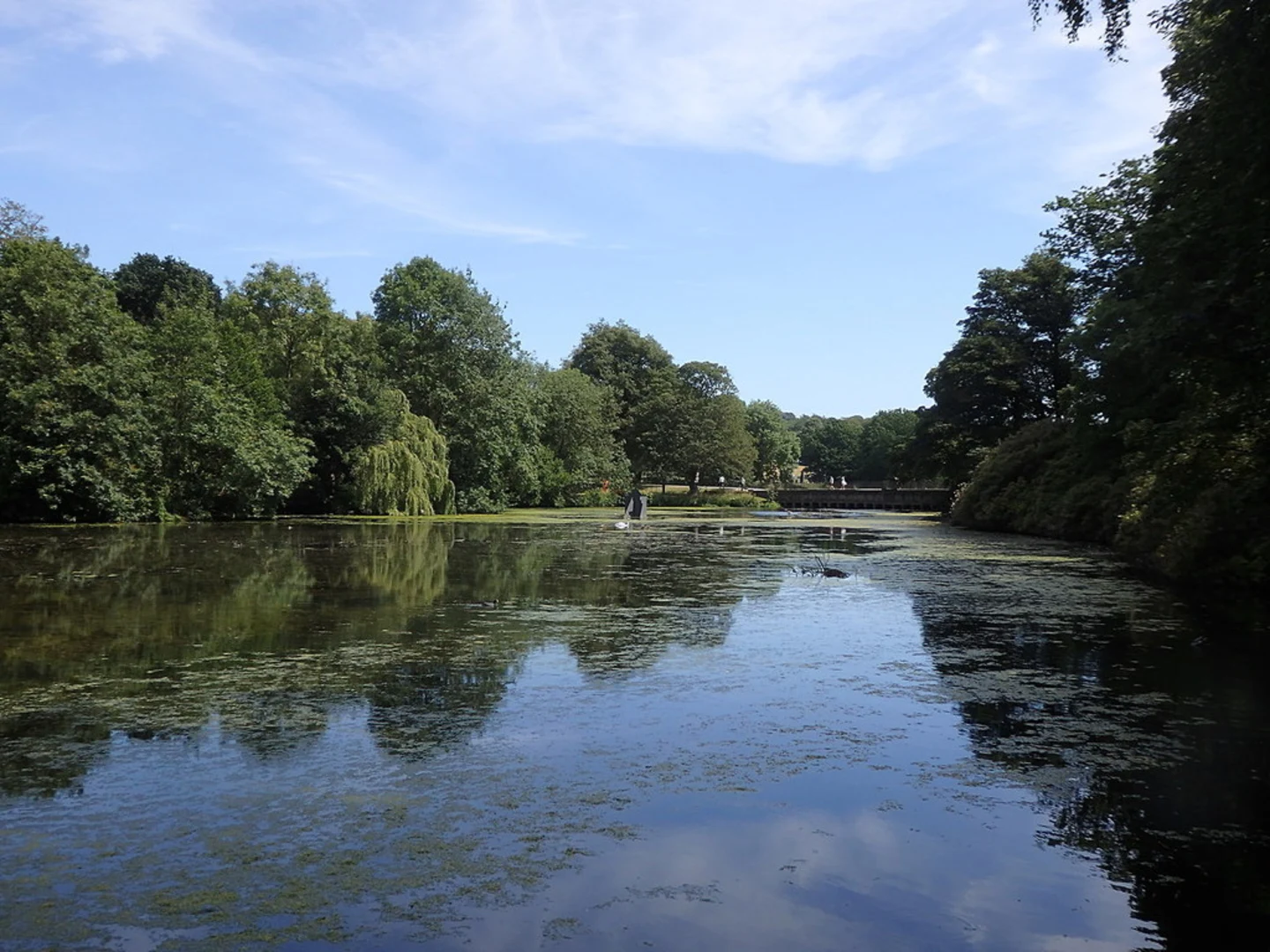 An image depicting the trail Lower Lake, Obelisk Park, Purston Park and St Oswald's Plantation Loop and its surrounding area.