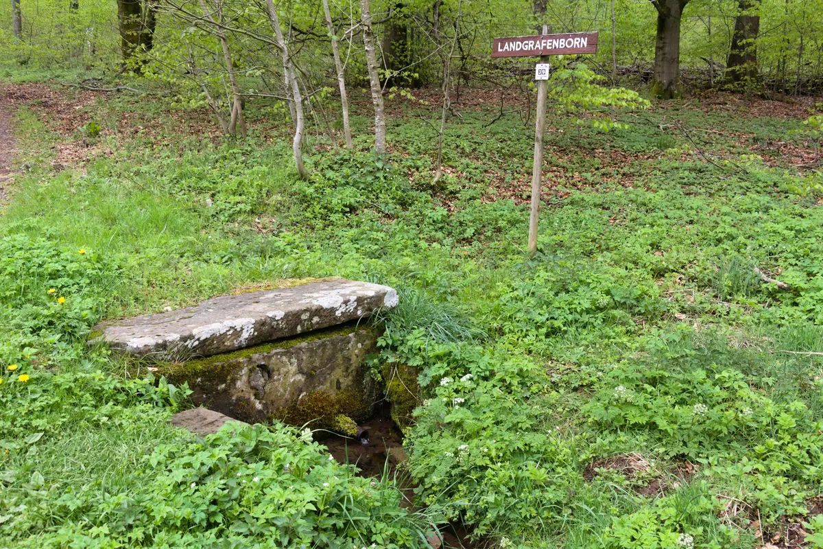 Hoherodskopf via Gipfeltour Schotten