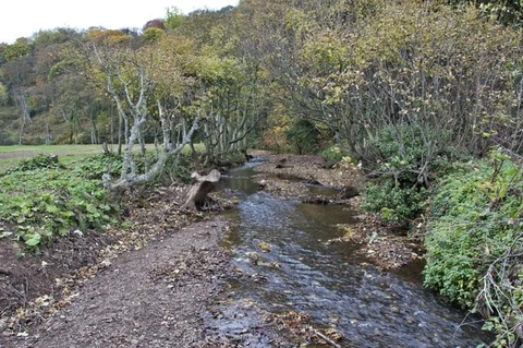 An image depicting the trail Saltburn Valley Gardens Walk and its surrounding area.