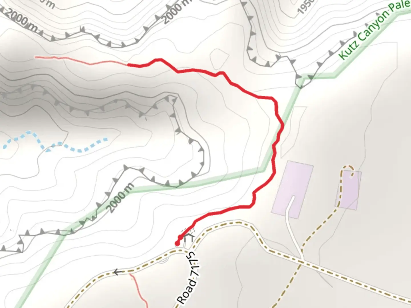 An image depicting the trail Road 7175 Walk and its surrounding area.