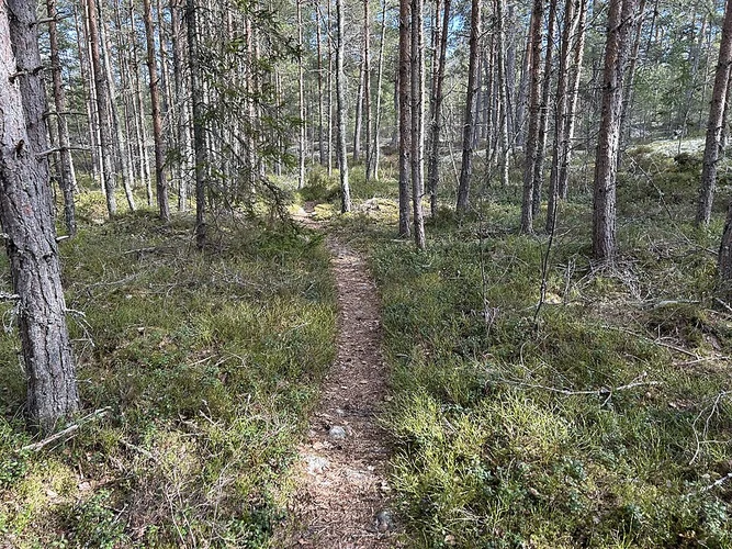 Stockholm Archipelago Trail - Yxlan