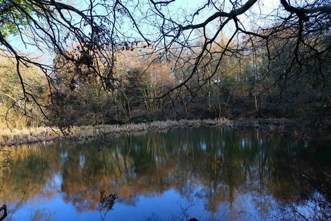An image depicting the trail Charlton Circular Walk and its surrounding area.