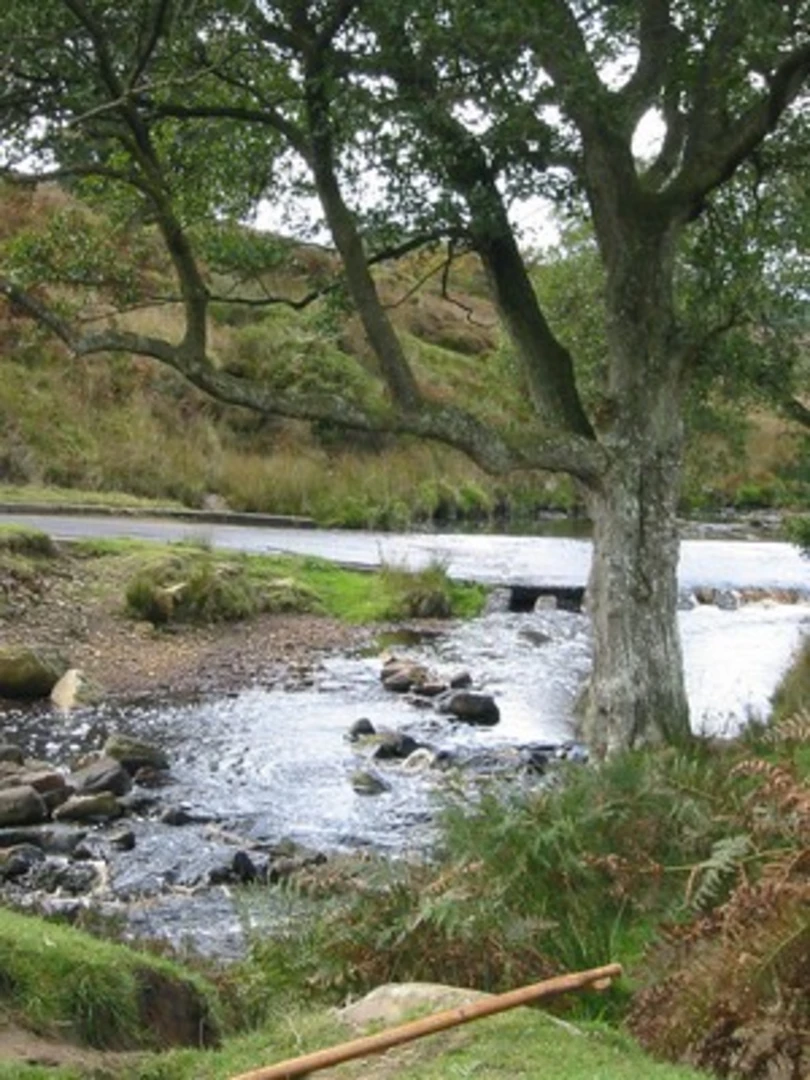 An image depicting the trail Goathland Village Loop and its surrounding area.