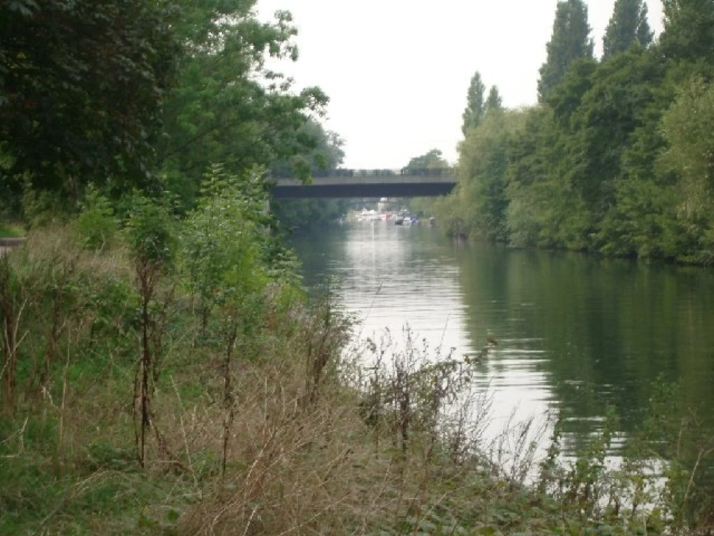 An image depicting the trail Weybridge Loop and its surrounding area.