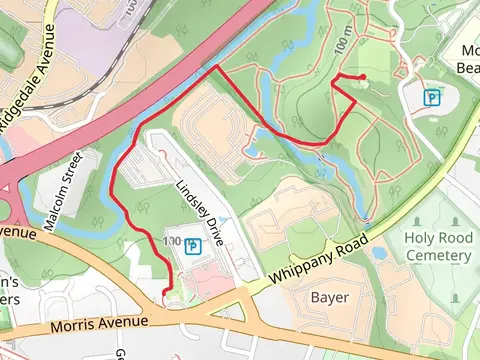 Patriot's Path - Rose Garden