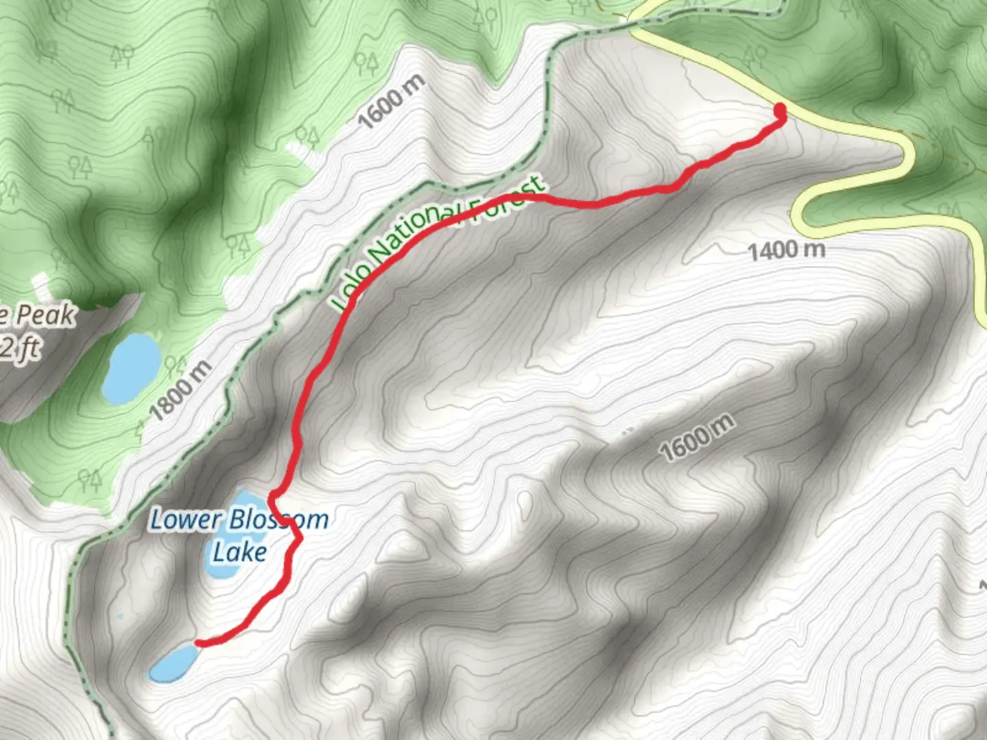 An image depicting the trail Upper Blossom Lake via Blossom Lake Horse Cutoff Trail and its surrounding area.