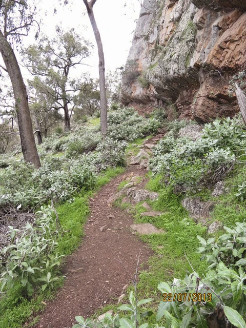 Yerong Walking Track