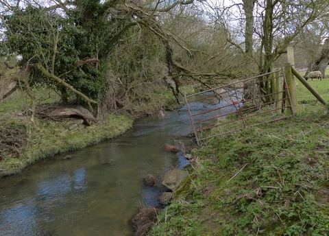 Wymark Spinney and North and South Luffenham