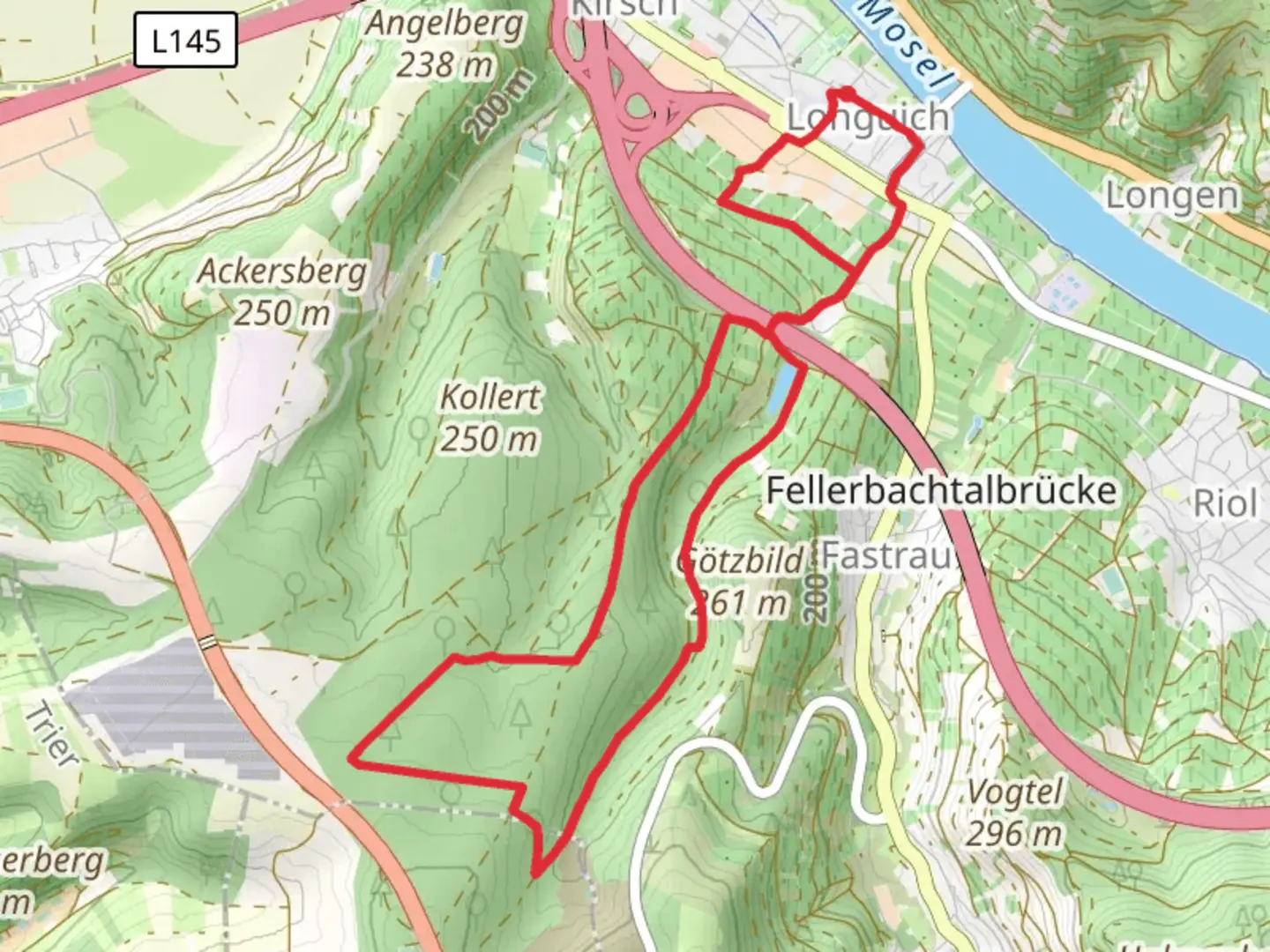 An image depicting the trail Longuich Loop via Longuicher Wald and its surrounding area.