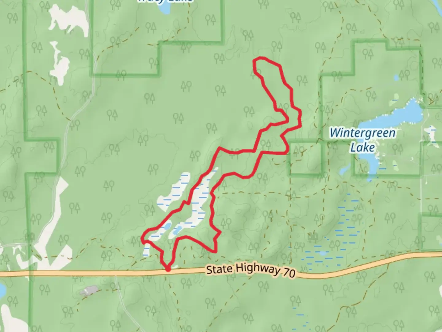 An image depicting the trail Wintergreen Loop A, B and C and its surrounding area.