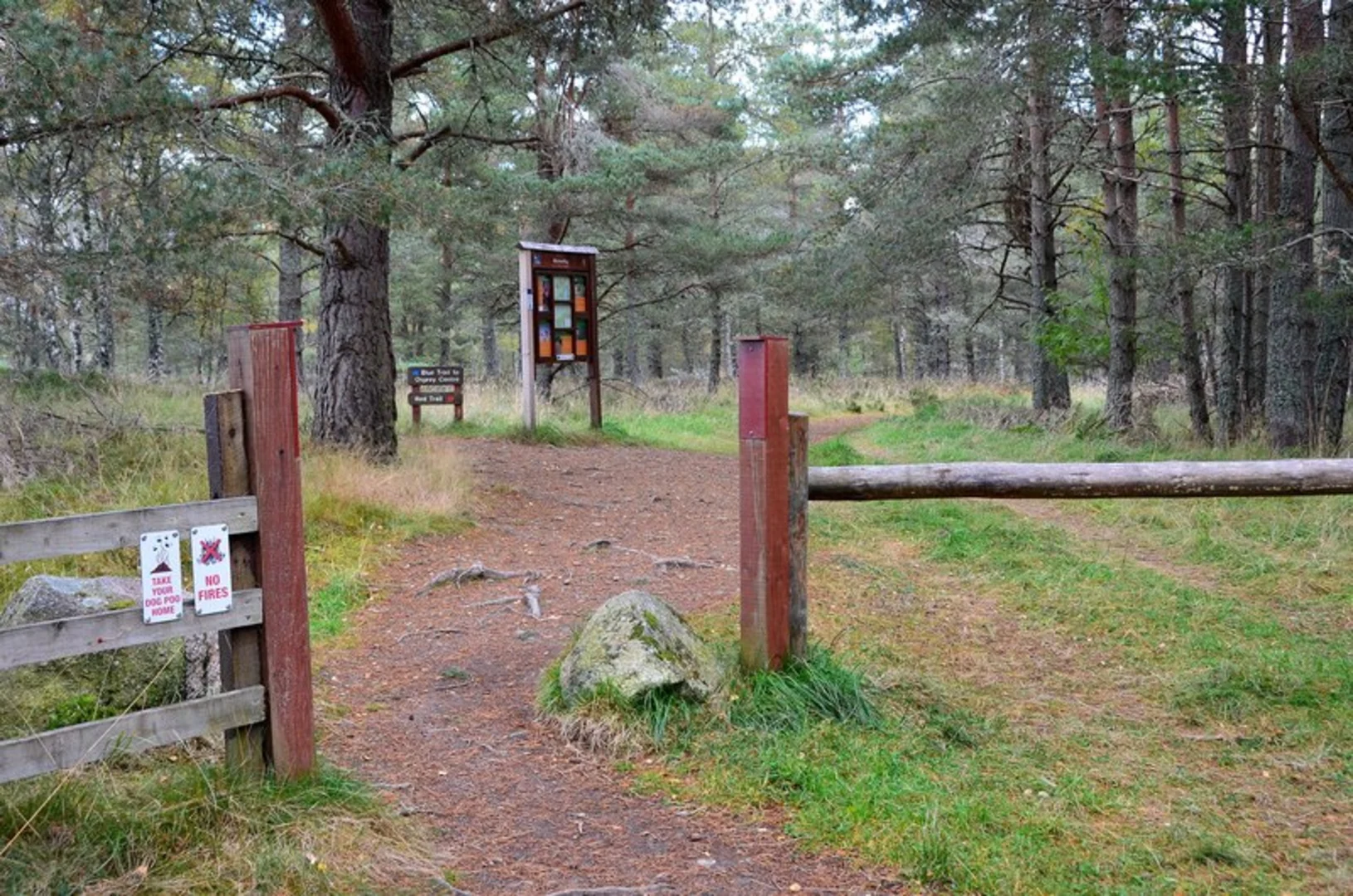 An image depicting the trail Garten Woods Walk and its surrounding area.