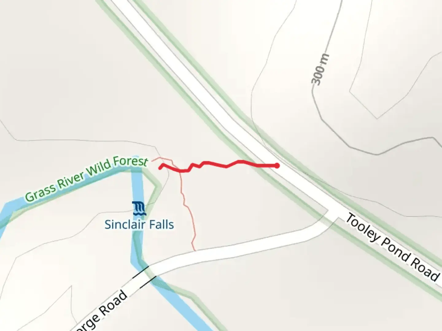 An image depicting the trail Tooley Pond Road Trail and its surrounding area.