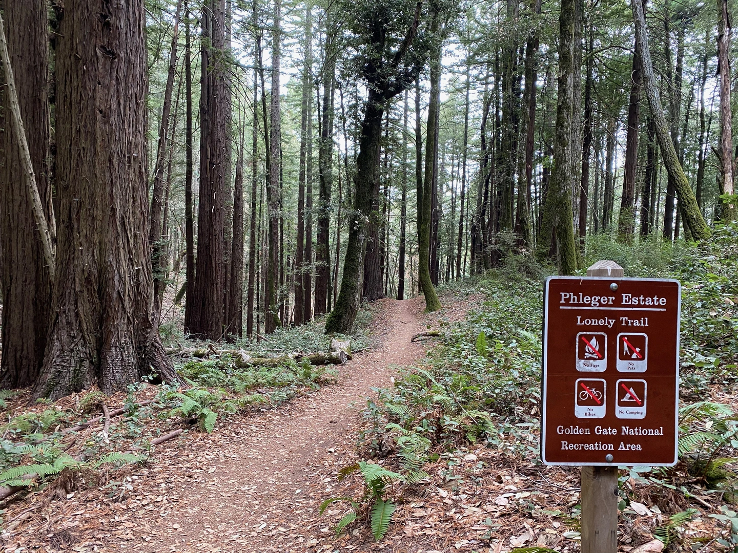 An image depicting the trail Raymundo Loop Trail and its surrounding area.