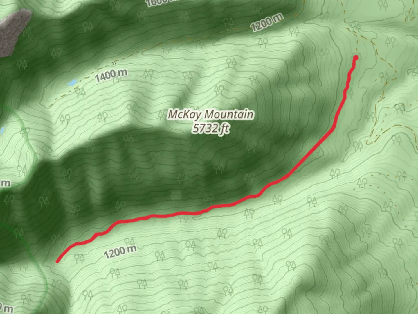 An image depicting the trail Big Cherry Creek Trail and its surrounding area.