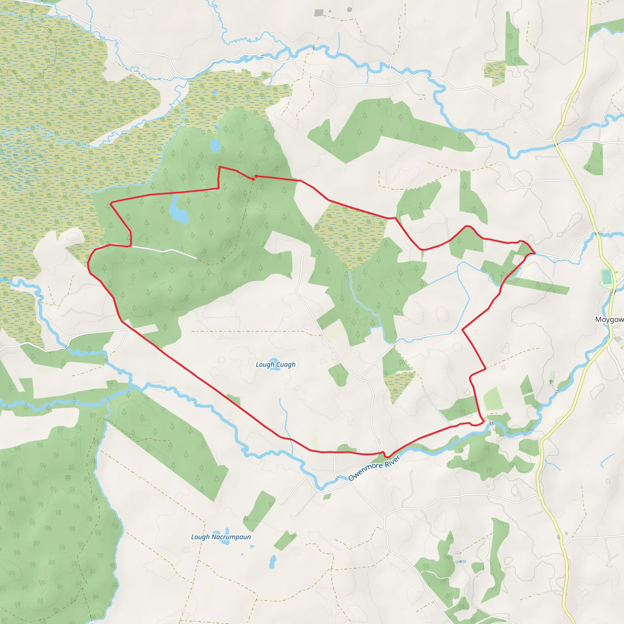 Blanemore Forest Walk mobile static map