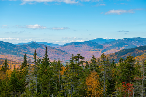 An image depicting the trail Mt Osceola and East Peak Trail and its surrounding area.