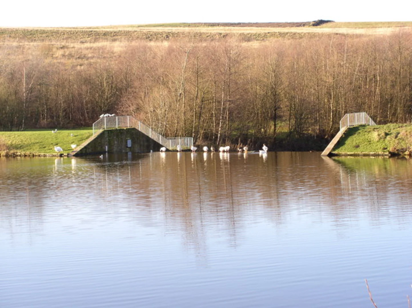 An image depicting the trail Burnley Central to Burnley Barracks Walk via River Brun and its surrounding area.