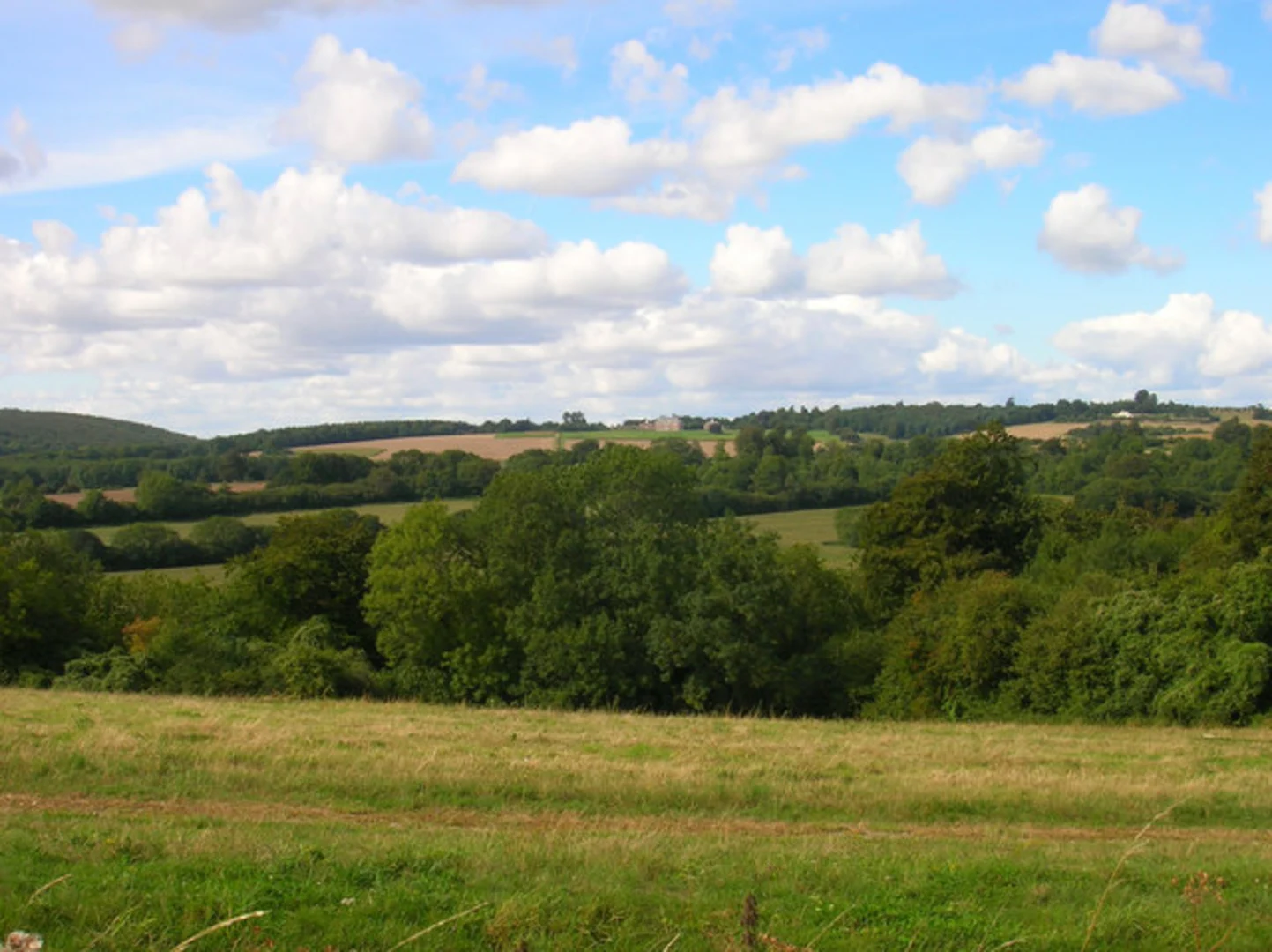 An image depicting the trail Compton to Up Marden Loop and its surrounding area.
