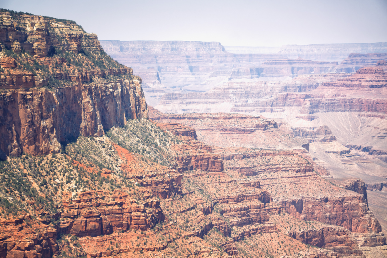 An image depicting the trail Cedar Ridge via Arizona Trail and its surrounding area.
